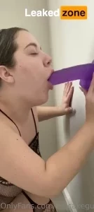 18565654