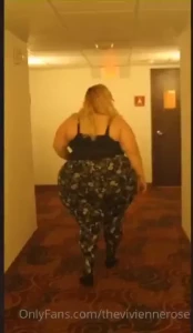 18246278