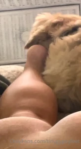 Tiny [ tinygypsyfeet ] Onlyfans leaked video 6637246 on Hotleaks.tv