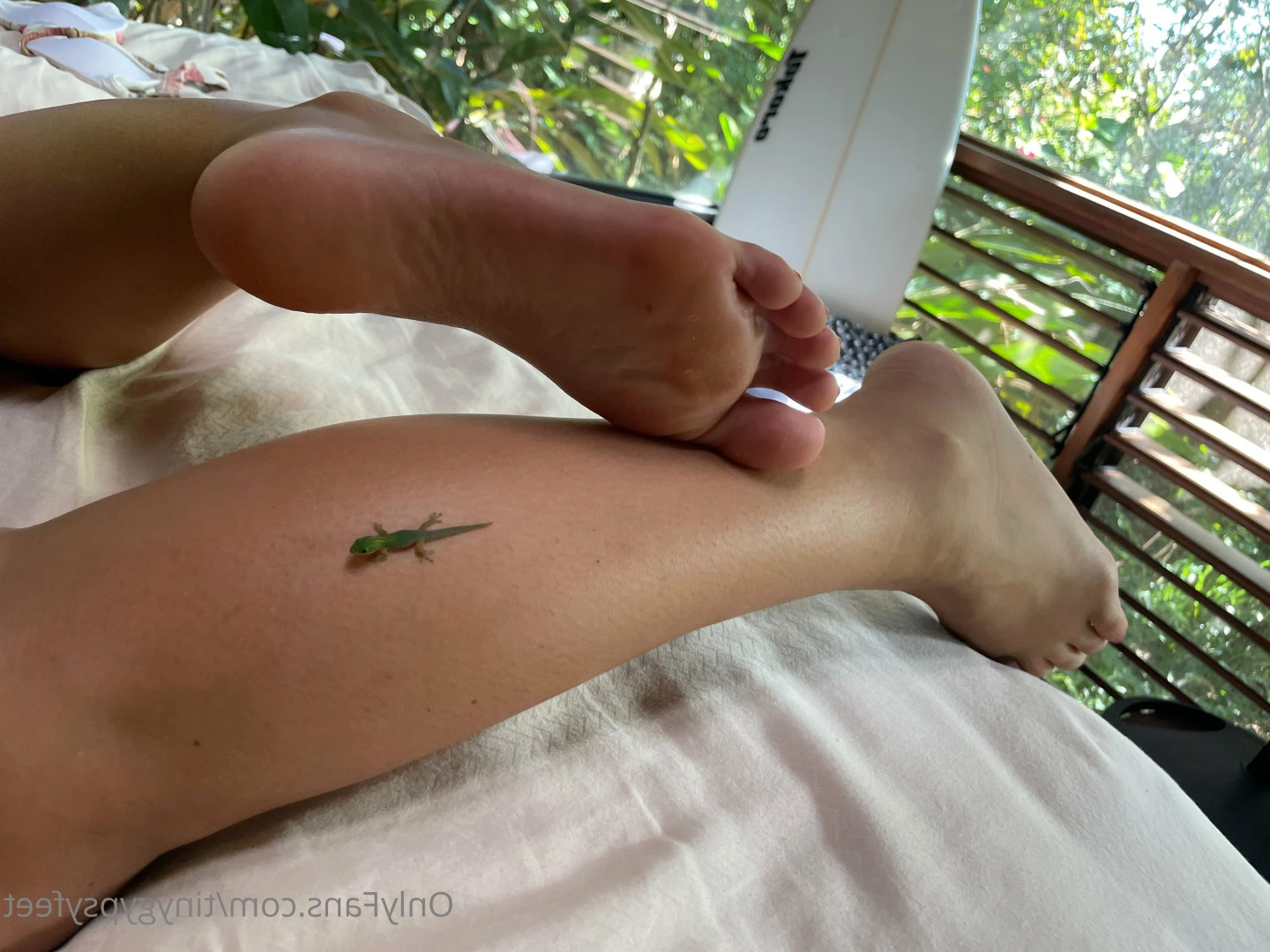 Tiny [ tinygypsyfeet ] Onlyfans leaked photo 7087429 on Hotleaks.tv