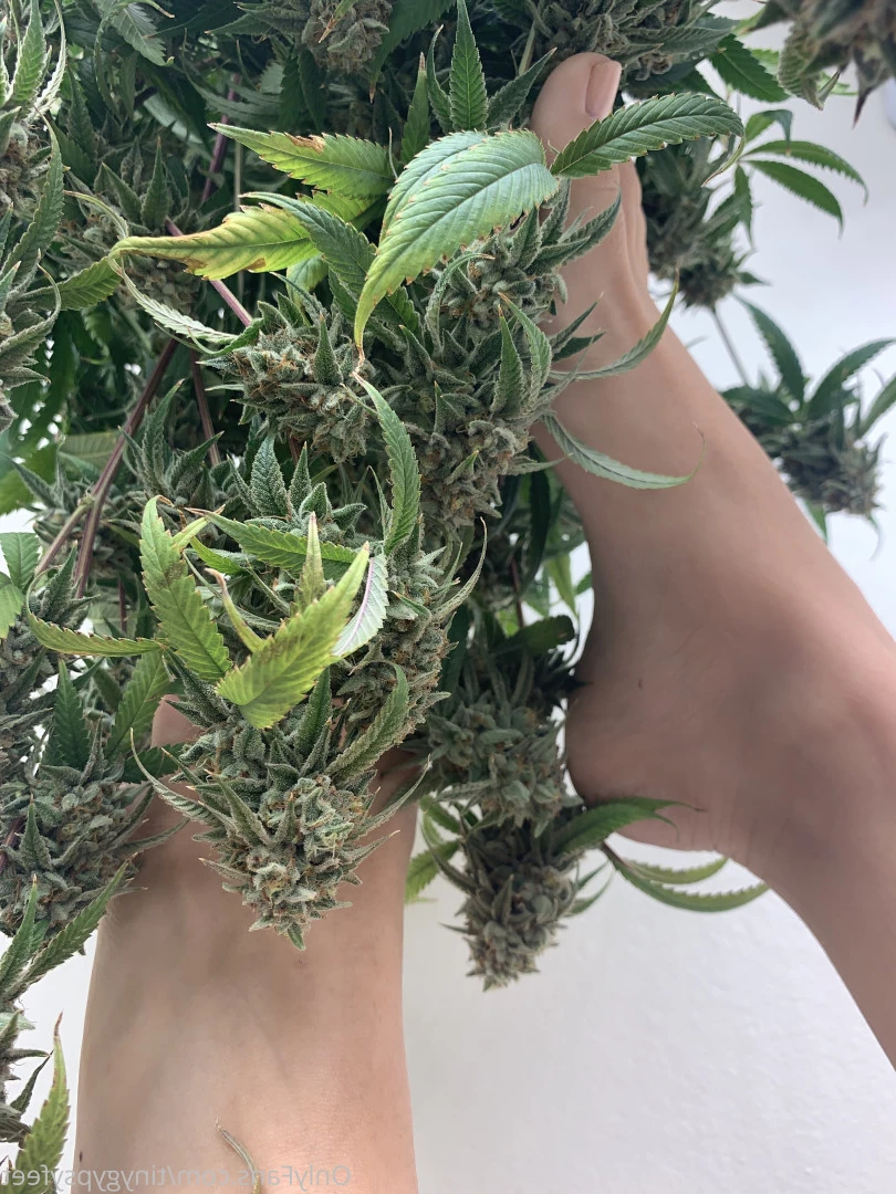 Tiny [ tinygypsyfeet ] Onlyfans leaked photo 7092058 on Hotleaks.tv