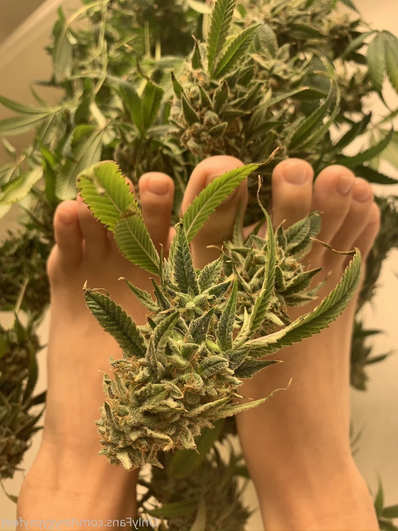 Tiny [ tinygypsyfeet ] Onlyfans leaked photo 7097498 on Hotleaks.tv