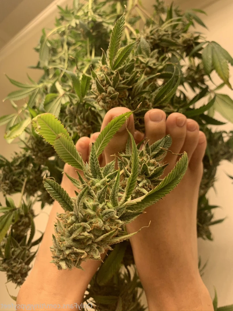 Tiny [ tinygypsyfeet ] Onlyfans leaked photo 7097815 on Hotleaks.tv