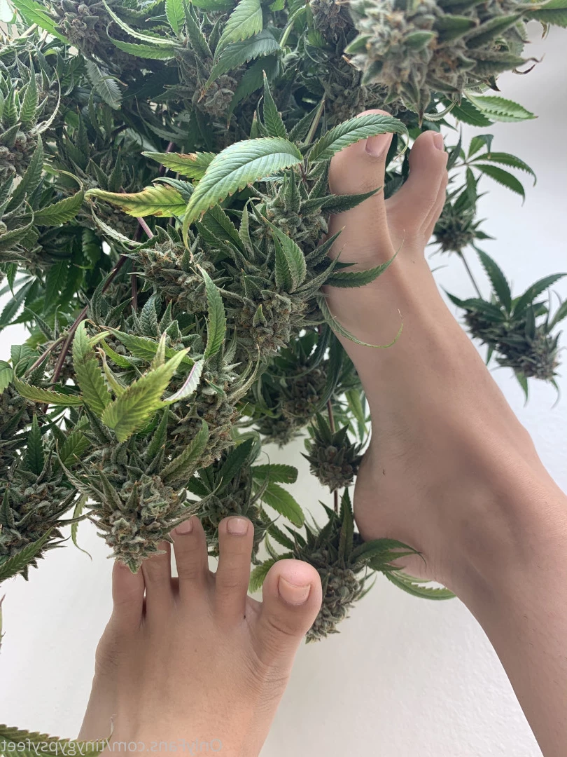 Tiny [ tinygypsyfeet ] Onlyfans leaked photo 7099407 on Hotleaks.tv