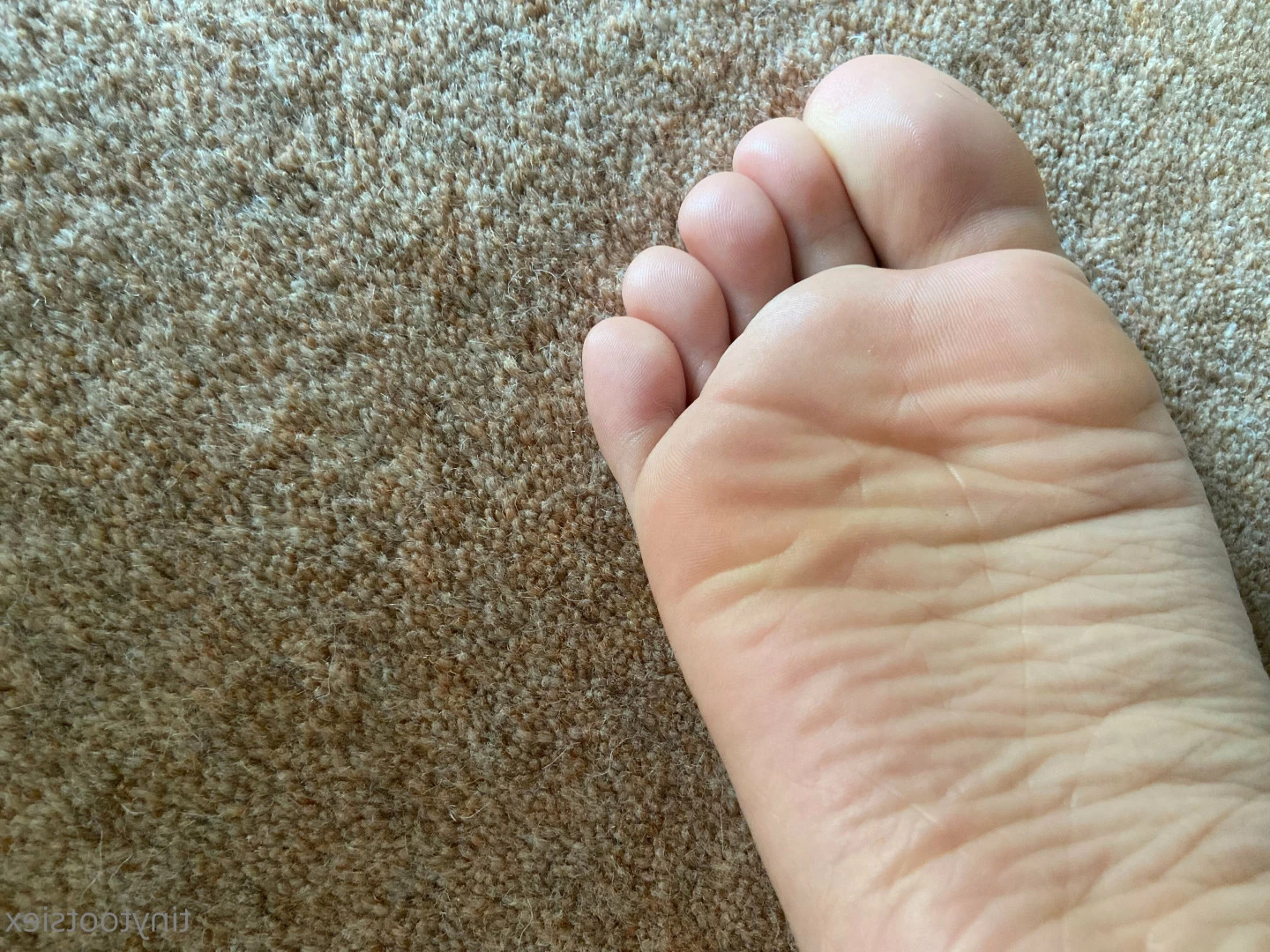 Tiny Tootsies [ tinytootsiex ] Onlyfans leaked photo 6567937 on Hotleaks.tv