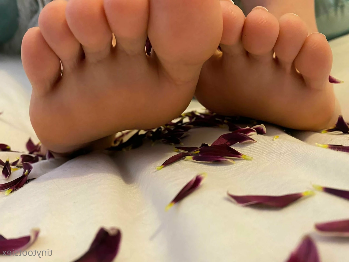 Tiny Tootsies [ tinytootsiex ] Onlyfans leaked photo 6568723 on Hotleaks.tv