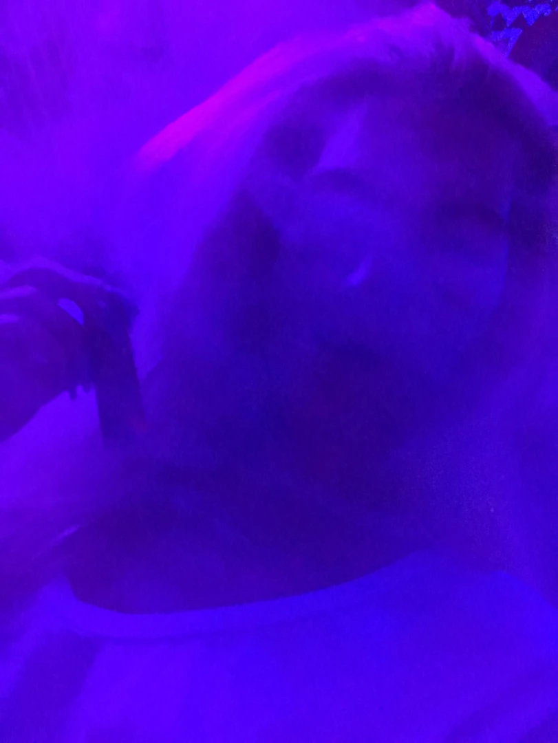 Miss Adah Vonn [ topdomme ] Onlyfans leaked photo 6544965 on Hotleaks.tv