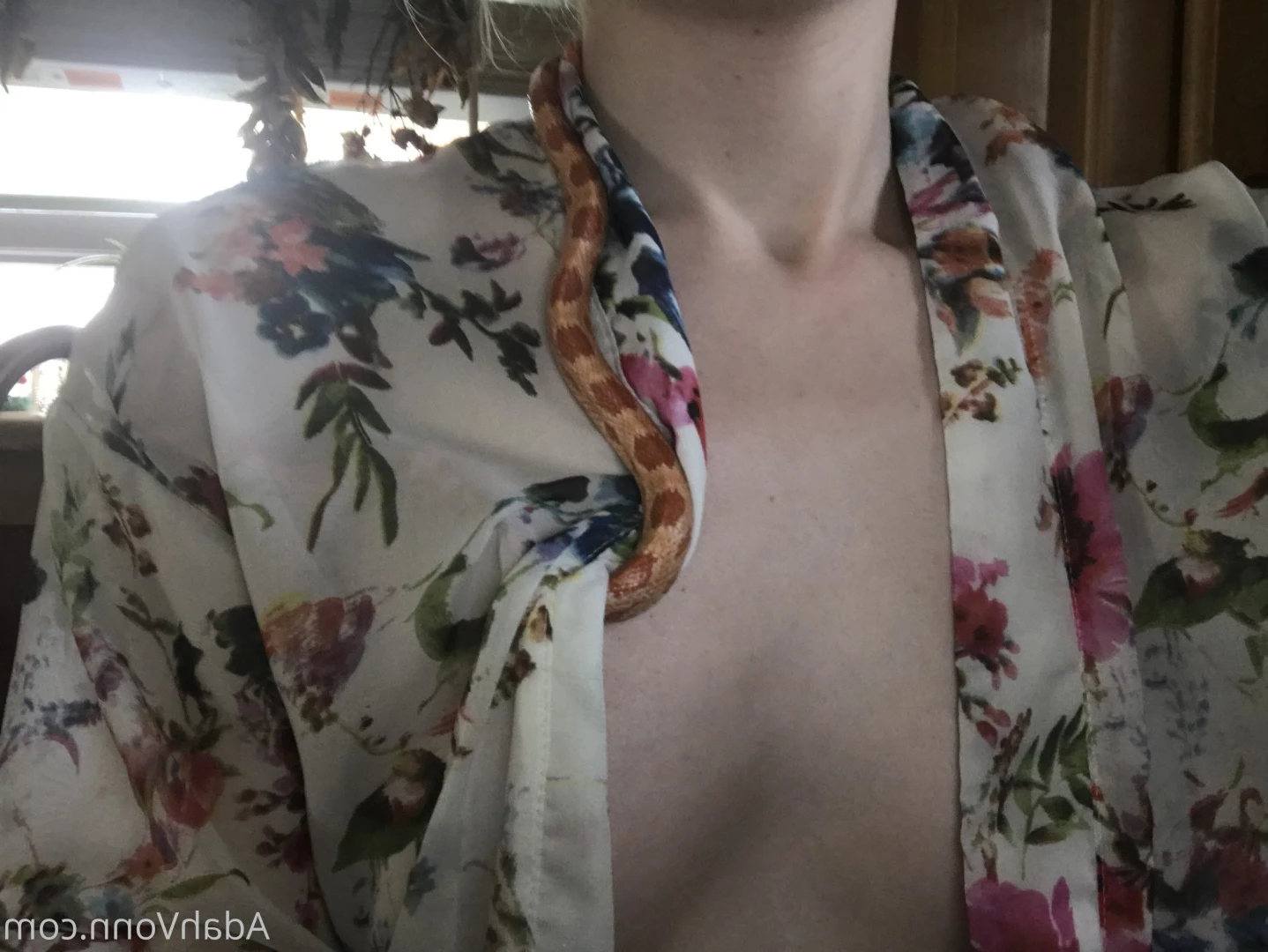 Miss Adah Vonn [ topdomme ] Onlyfans leaked photo 6548585 on Hotleaks.tv