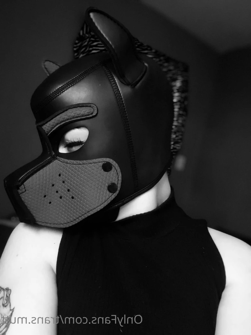 Mutt [ trans.mutt ] Onlyfans leaked photo 6900656 on Hotleaks.tv