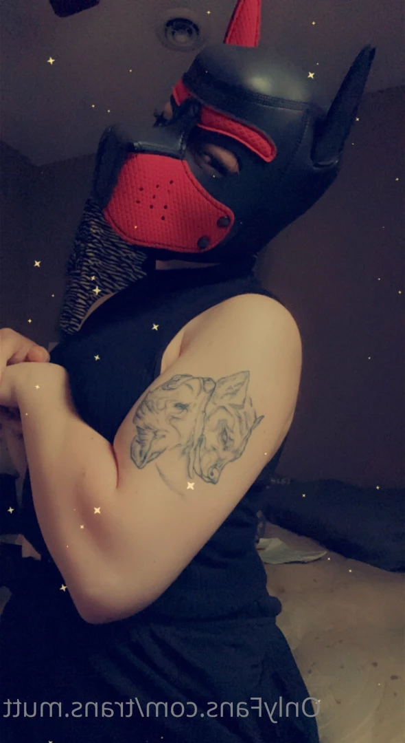 Mutt [ trans.mutt ] Onlyfans leaked photo 6900718 on Hotleaks.tv