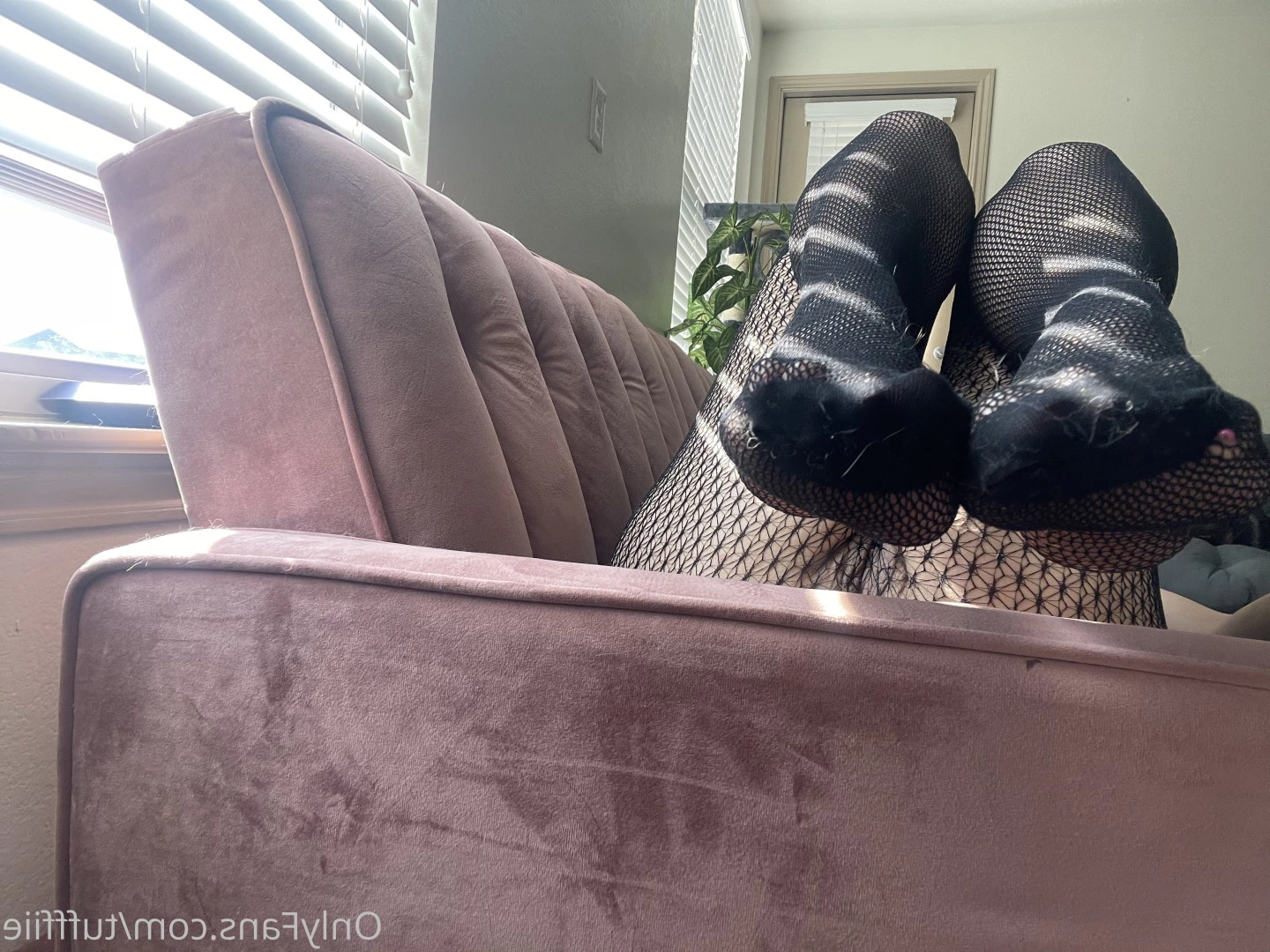 Tuffie Arch Queen [ tuffiearchqueen ] Onlyfans leaked photo 7070642 on Hotleaks.tv