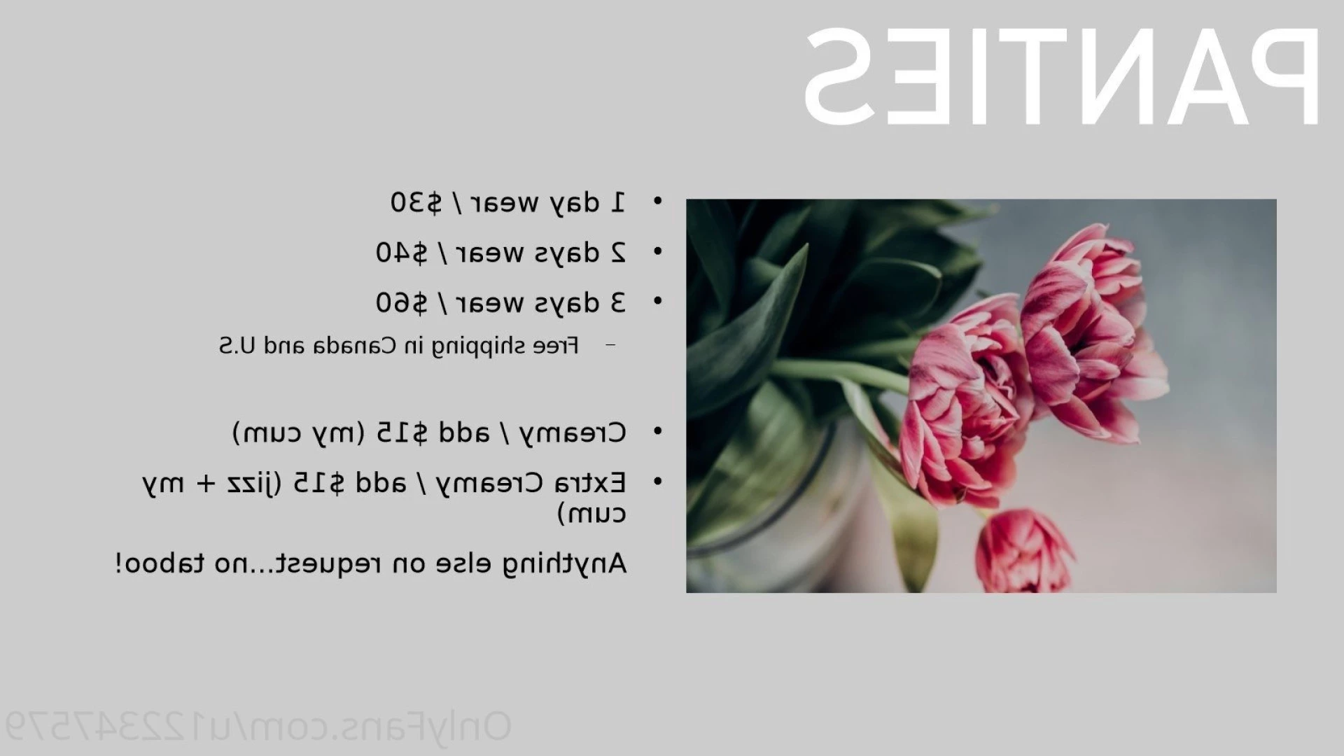 AnnaClaudia [ u122347579 ] Onlyfans leaked photo 6742656 on Hotleaks.tv