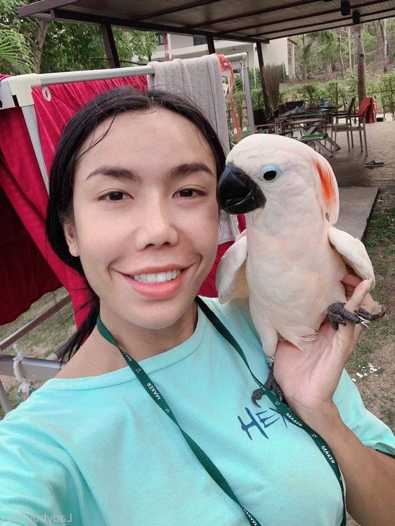 𝗟𝗔𝗗𝗬𝗕𝗢𝗬 𝗠𝗢𝗦😈 [ ladyboymos ] Onlyfans leaked photo 655723 on Hotleaks.tv