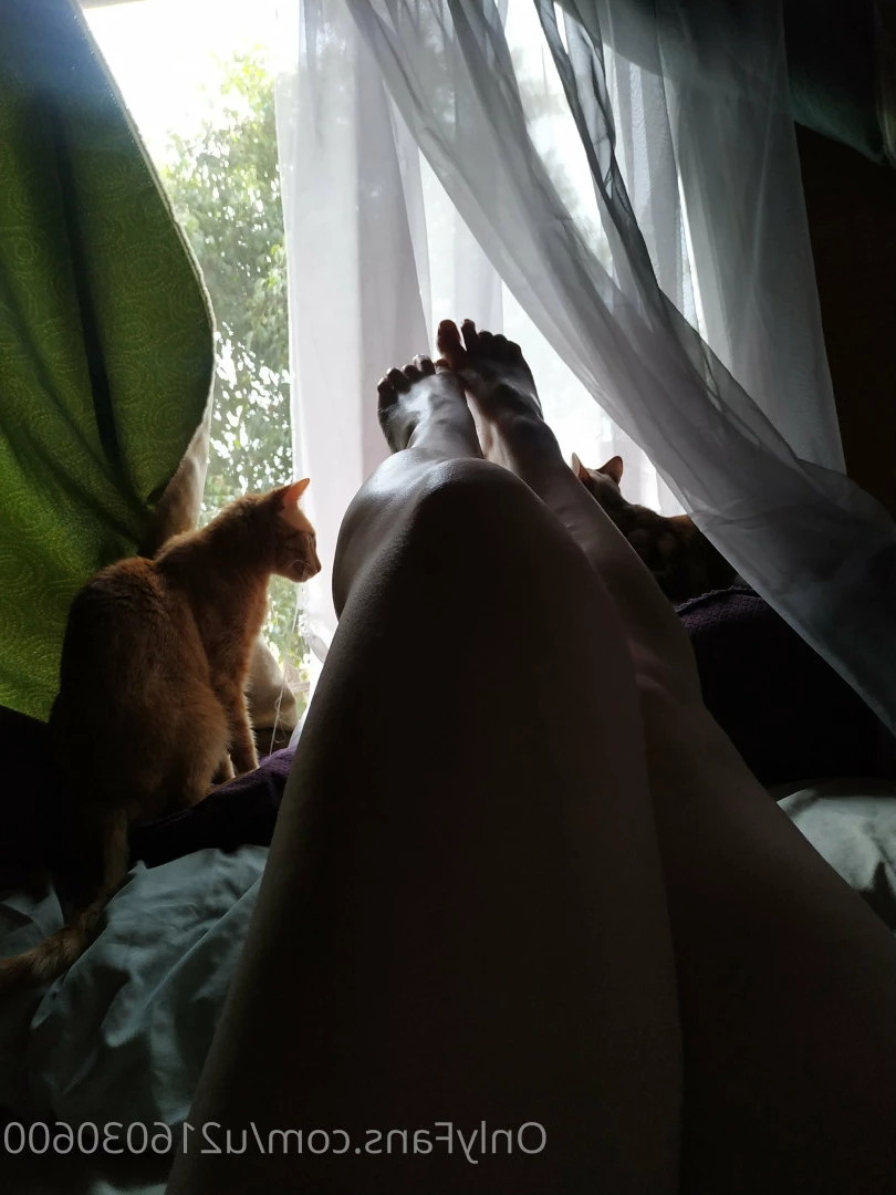 Moon Cat [ u216030600 ] Onlyfans leaked photo 7081755 on Hotleaks.tv
