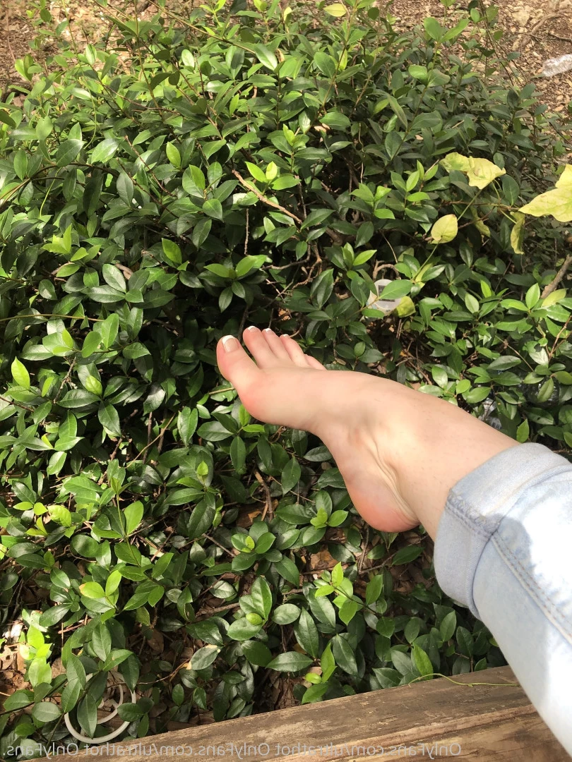 Wren🌿 [ ultrathot ] Onlyfans leaked photo 7059347 on Hotleaks.tv
