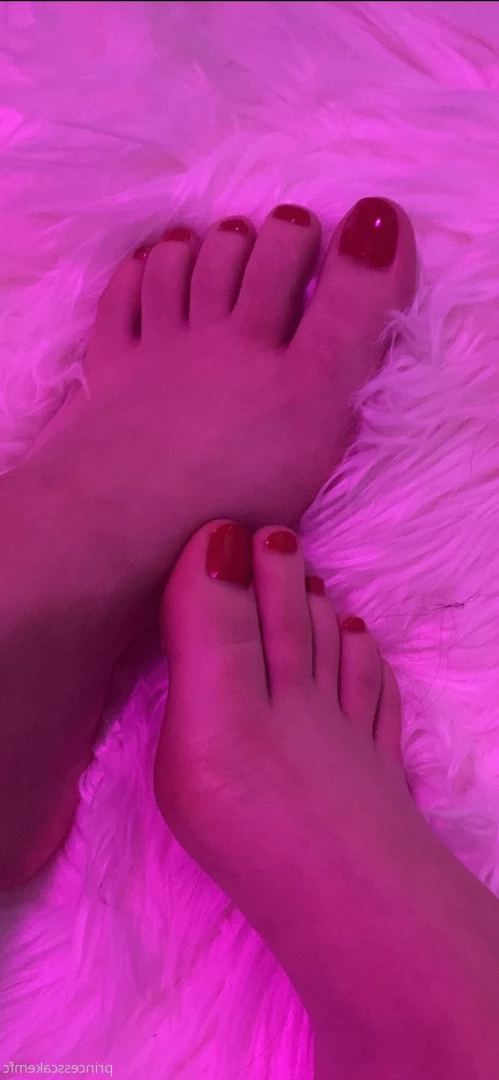vantabee Onlyfans leaked photo 6519463 on Hotleaks.tv