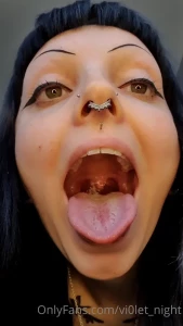 15627453