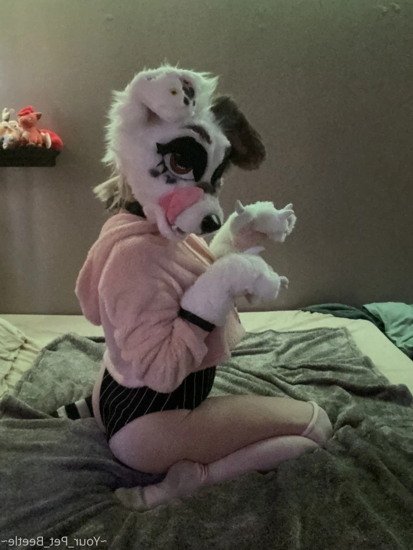 hellhoundpussy Onlyfans leaked photo 6675731 on Hotleaks.tv