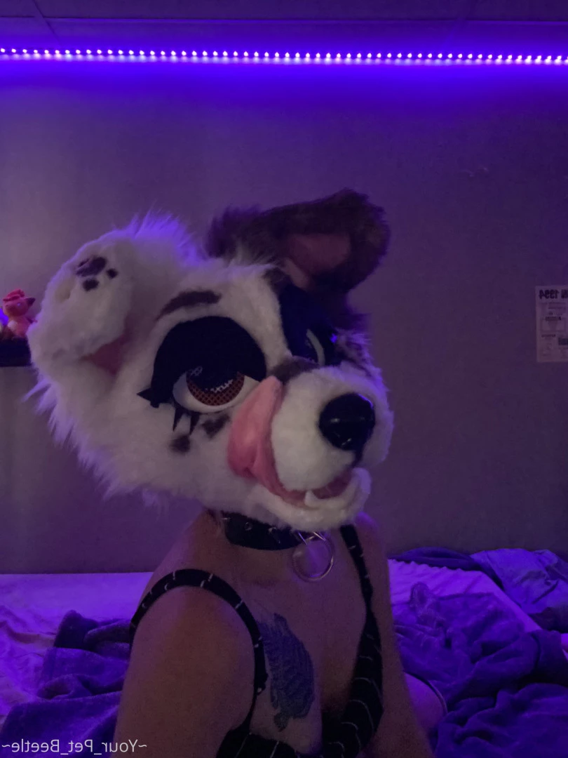 hellhoundpussy Onlyfans leaked photo 6675758 on Hotleaks.tv