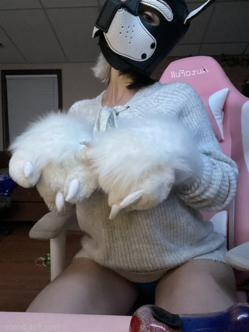 hellhoundpussy Onlyfans leaked photo 6675846 on Hotleaks.tv