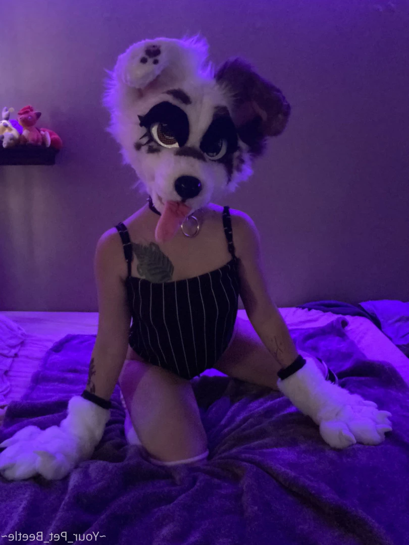 hellhoundpussy Onlyfans leaked photo 6676023 on Hotleaks.tv