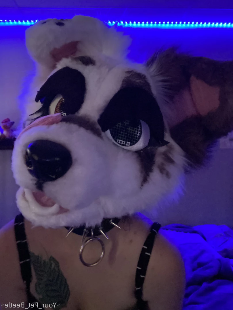 hellhoundpussy Onlyfans leaked photo 6676173 on Hotleaks.tv