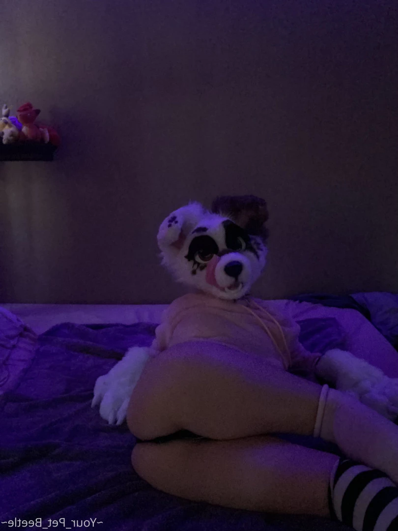 hellhoundpussy Onlyfans leaked photo 6676180 on Hotleaks.tv