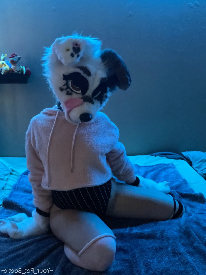 hellhoundpussy Onlyfans leaked photo 6676378 on Hotleaks.tv