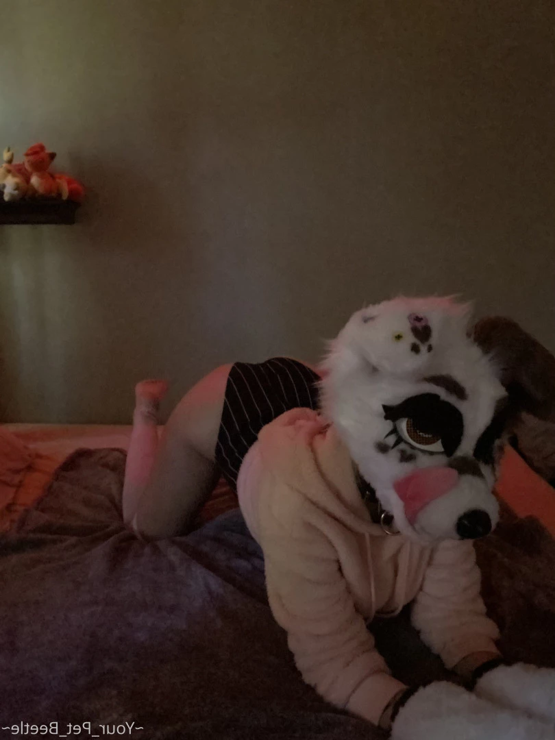 hellhoundpussy Onlyfans leaked photo 6676421 on Hotleaks.tv