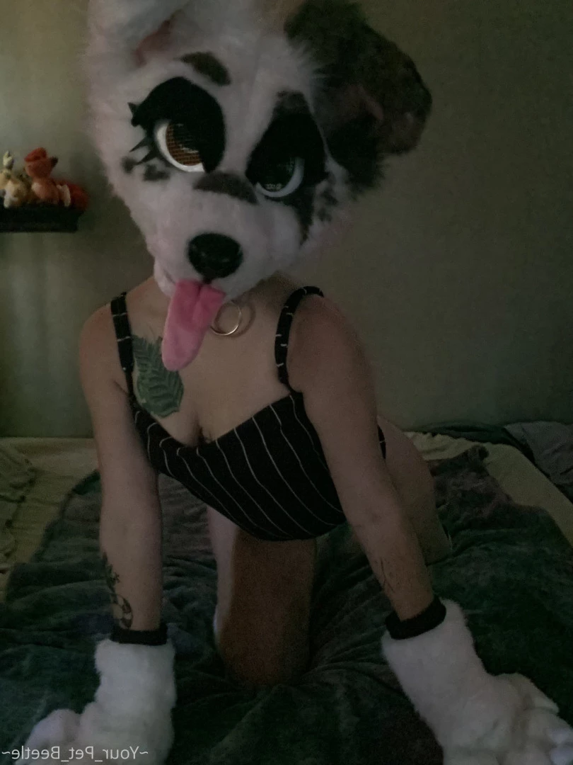 hellhoundpussy Onlyfans leaked photo 6676429 on Hotleaks.tv
