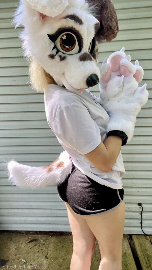 hellhoundpussy Onlyfans leaked photo 6676578 on Hotleaks.tv