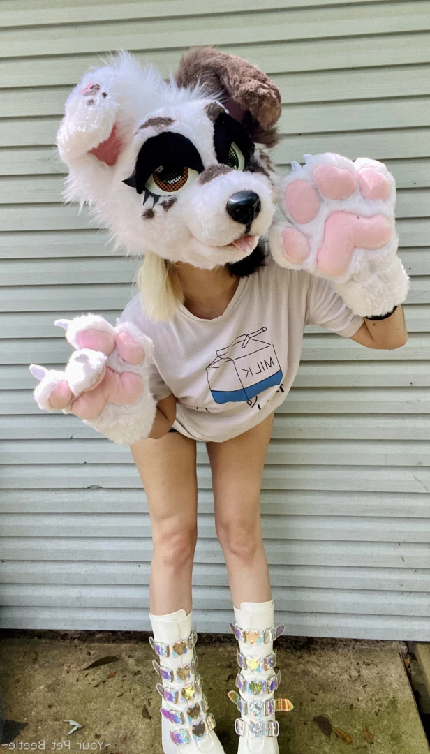 hellhoundpussy Onlyfans leaked photo 6676614 on Hotleaks.tv