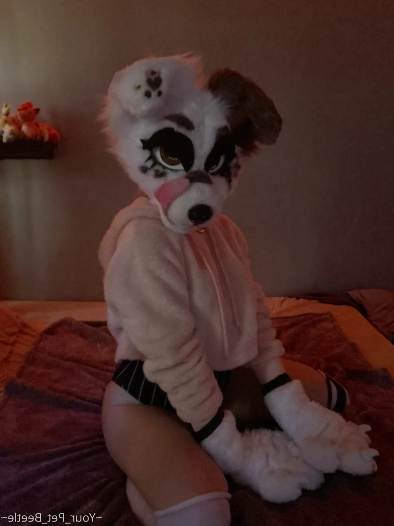 hellhoundpussy Onlyfans leaked photo 6676701 on Hotleaks.tv