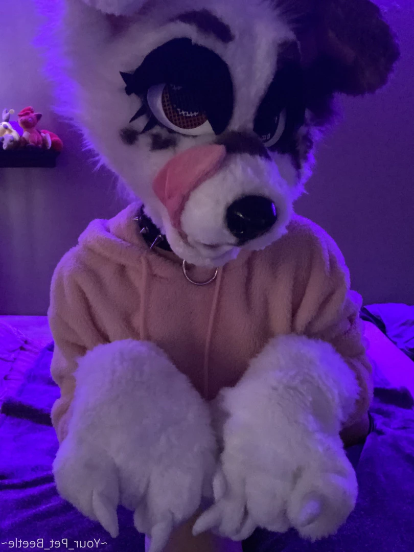 hellhoundpussy Onlyfans leaked photo 6676739 on Hotleaks.tv