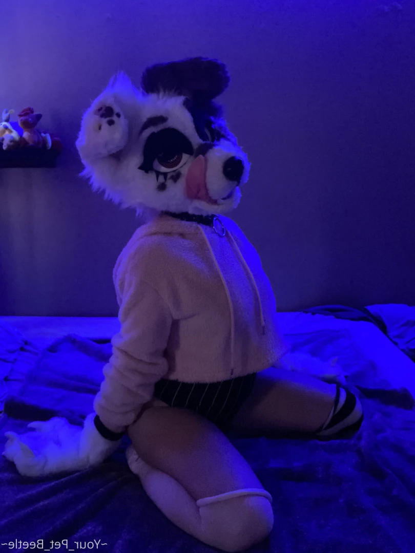 hellhoundpussy Onlyfans leaked photo 6676816 on Hotleaks.tv
