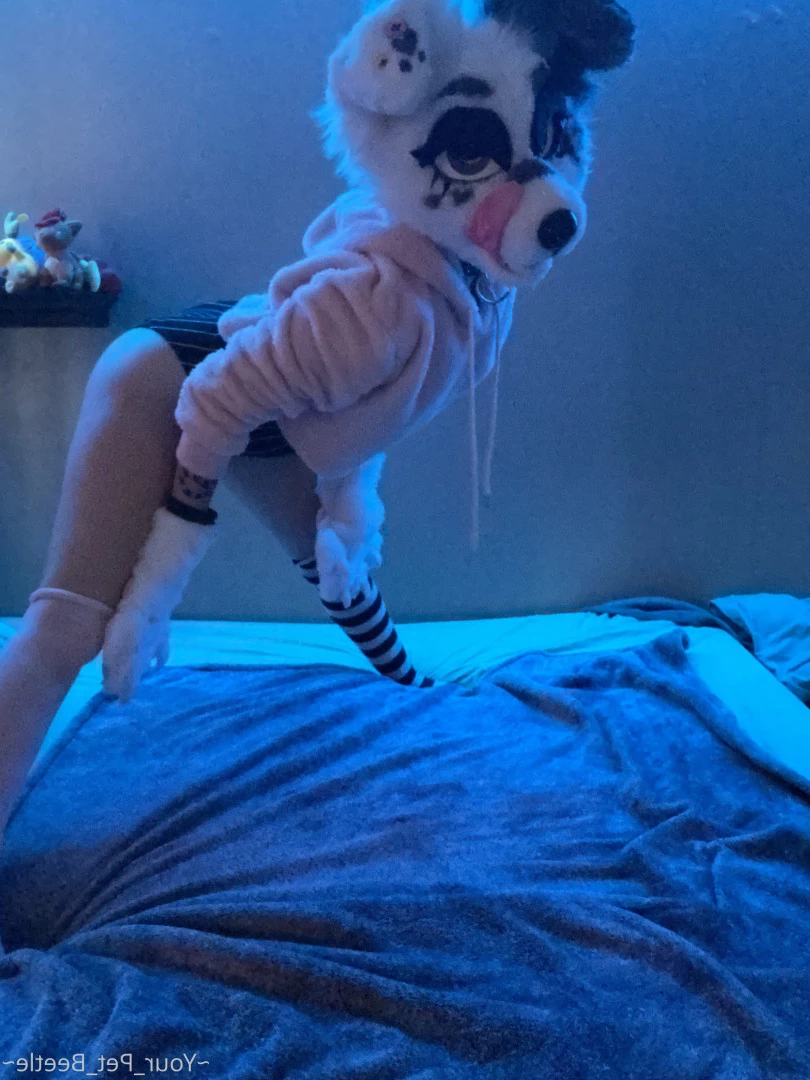 hellhoundpussy Onlyfans leaked photo 6676843 on Hotleaks.tv