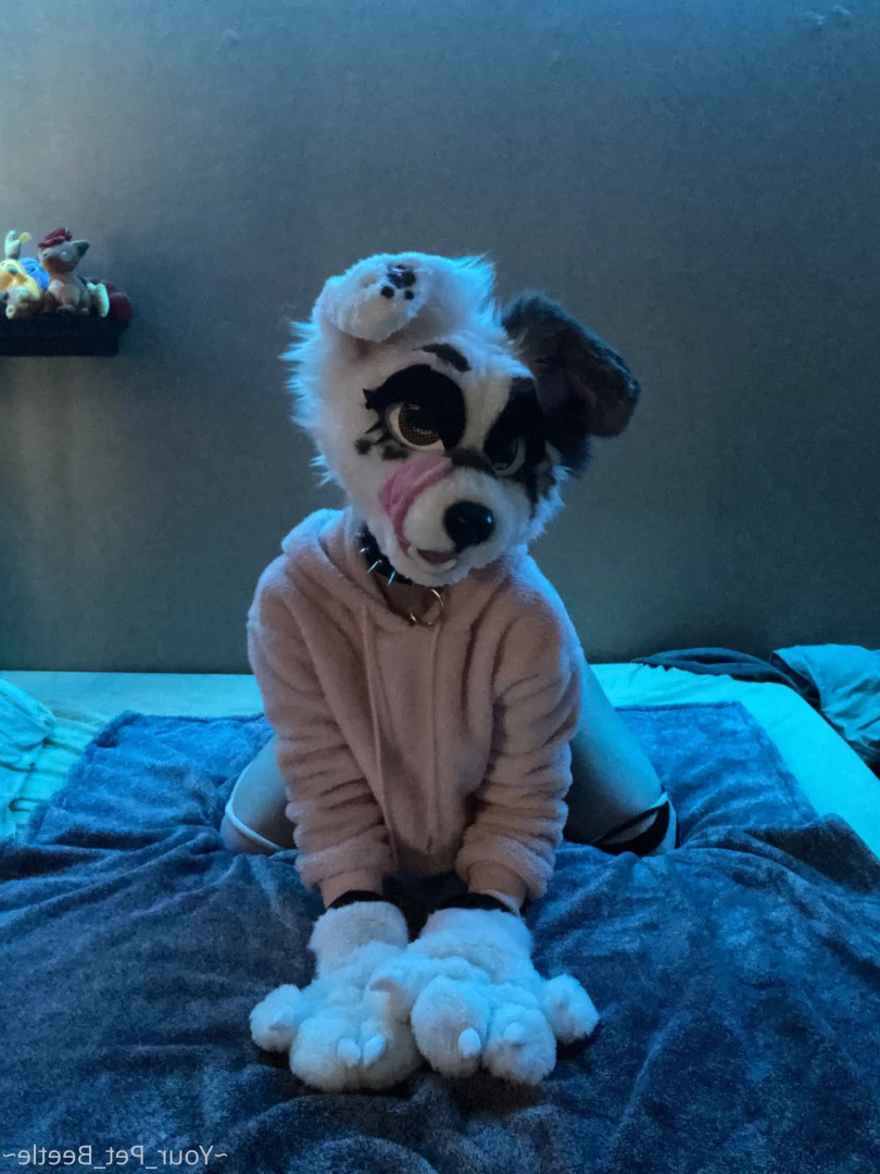 hellhoundpussy Onlyfans leaked photo 6676995 on Hotleaks.tv