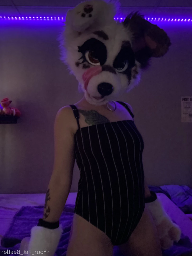 hellhoundpussy Onlyfans leaked photo 6677067 on Hotleaks.tv