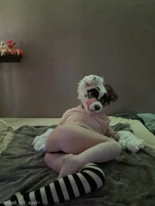 6677095