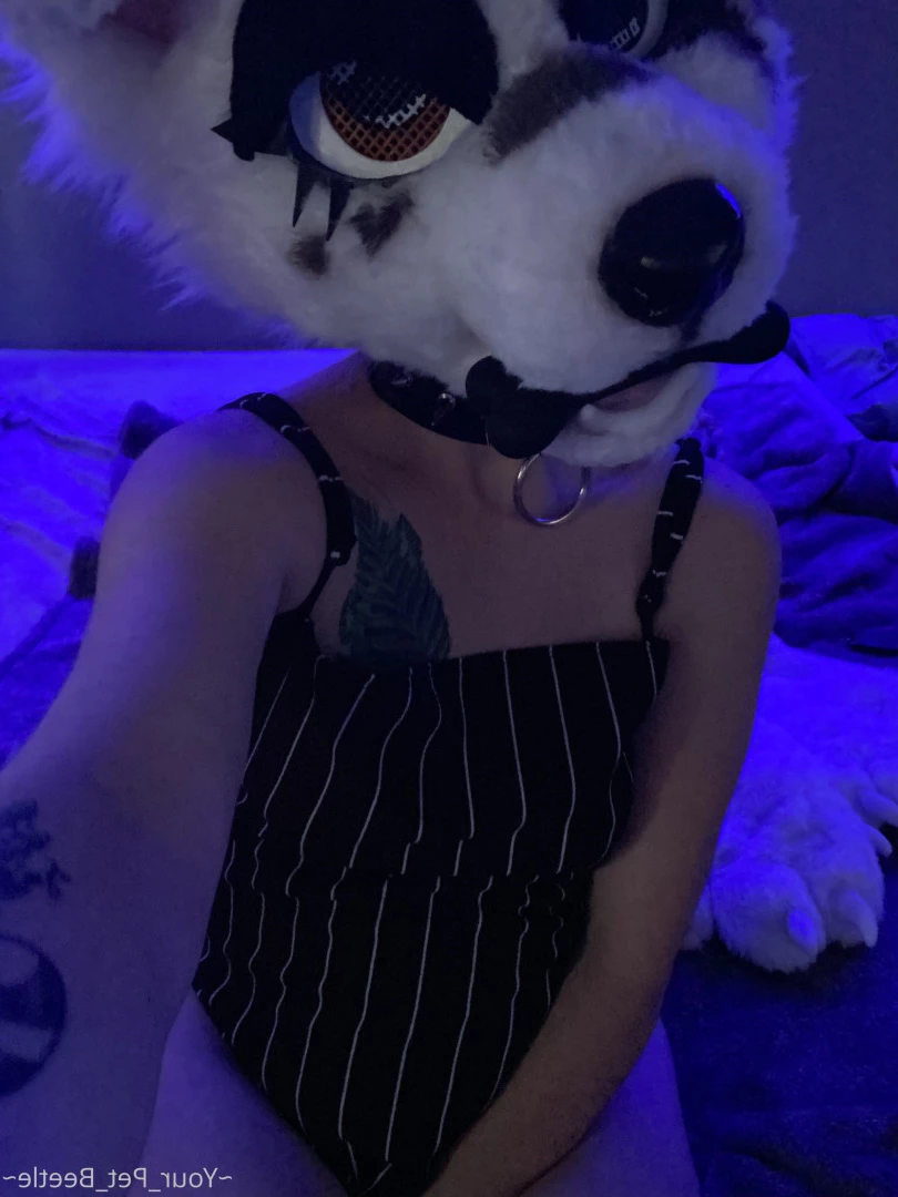 hellhoundpussy Onlyfans leaked photo 6677102 on Hotleaks.tv