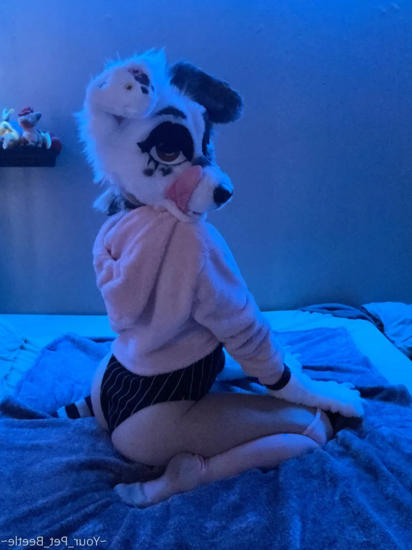 hellhoundpussy Onlyfans leaked photo 6677188 on Hotleaks.tv