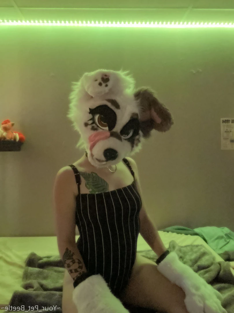 hellhoundpussy Onlyfans leaked photo 6677229 on Hotleaks.tv