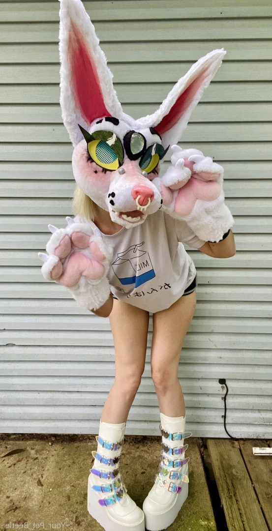hellhoundpussy Onlyfans leaked photo 6677265 on Hotleaks.tv