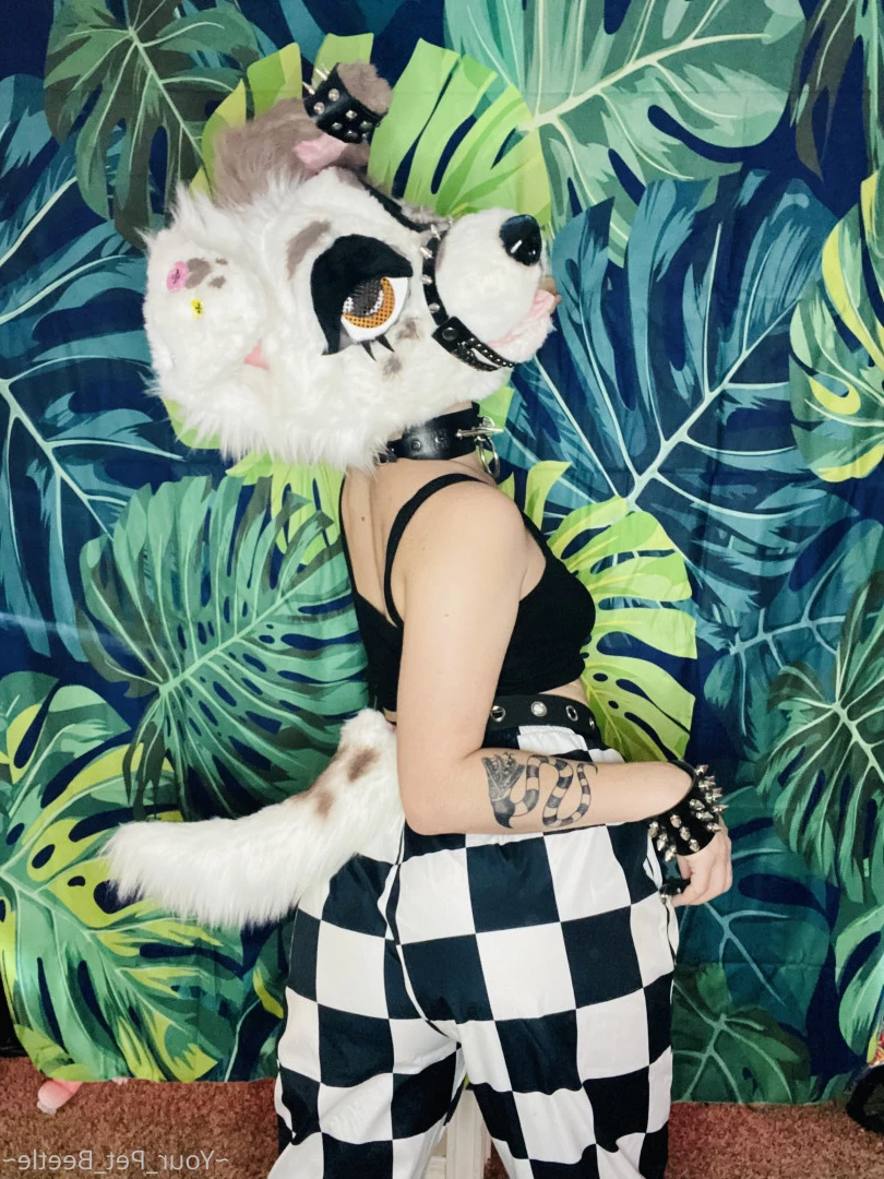 hellhoundpussy Onlyfans leaked photo 6677382 on Hotleaks.tv