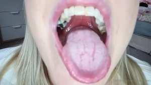 6513619