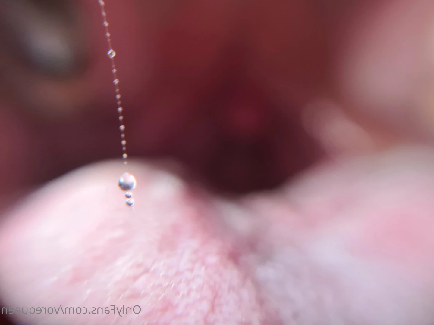 Voracious Vixen [ vorequeen ] Onlyfans leaked photo 6885402 on Hotleaks.tv