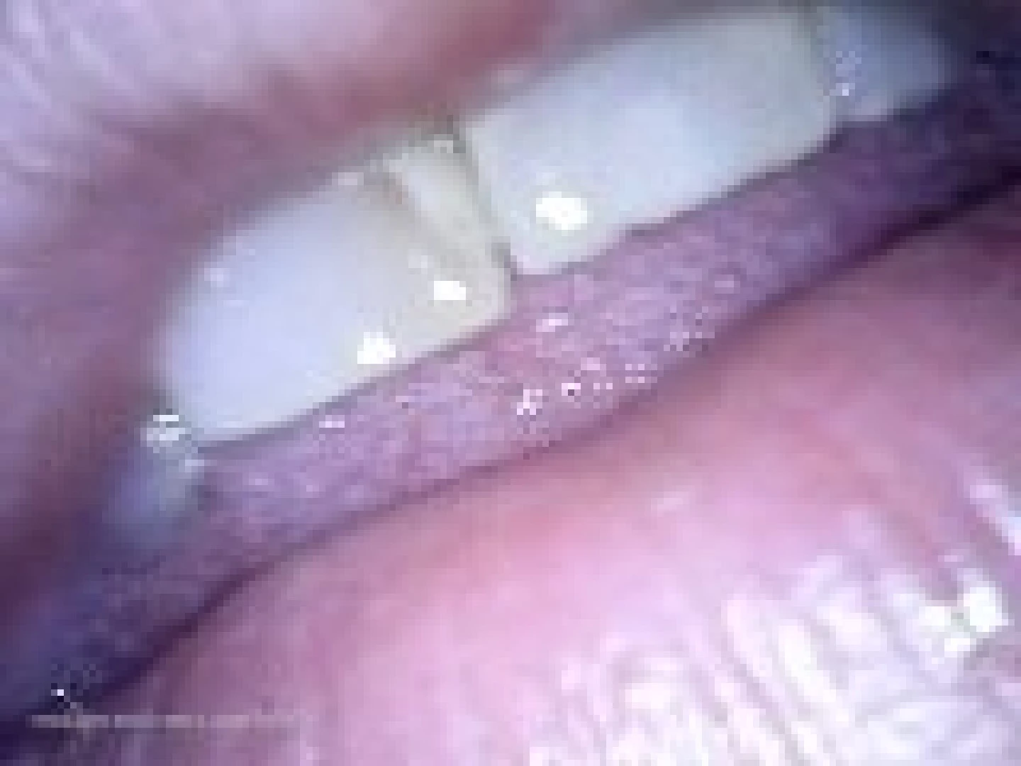 Voracious Vixen [ vorequeen ] Onlyfans leaked photo 6886217 on Hotleaks.tv