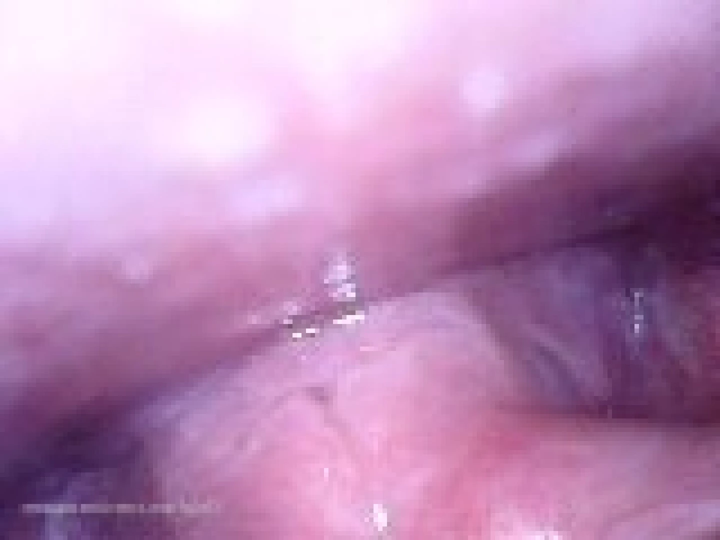 Voracious Vixen [ vorequeen ] Onlyfans leaked photo 6887715 on Hotleaks.tv