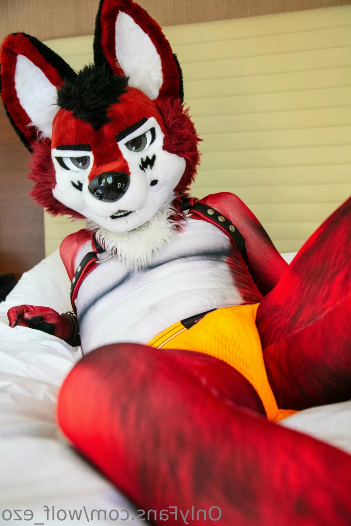 WolfEzo [ wolf_ezo ] Onlyfans leaked photo 9045766 on Hotleaks.tv