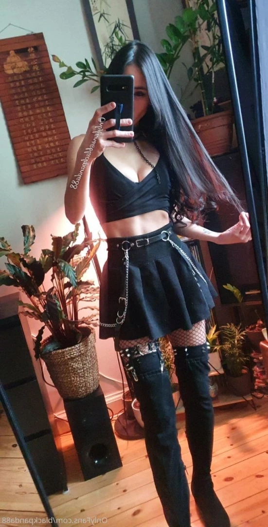 xblackpanda88x Onlyfans leaked photo 6492565 on Hotleaks.tv